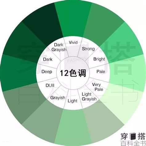 代表綠色的字 八宮強